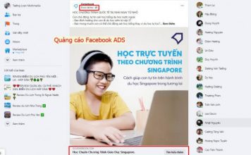 Dịch vụ quảng cáo Google ADS & Facebook ADS