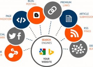 dịch vụ backlink chất lượng